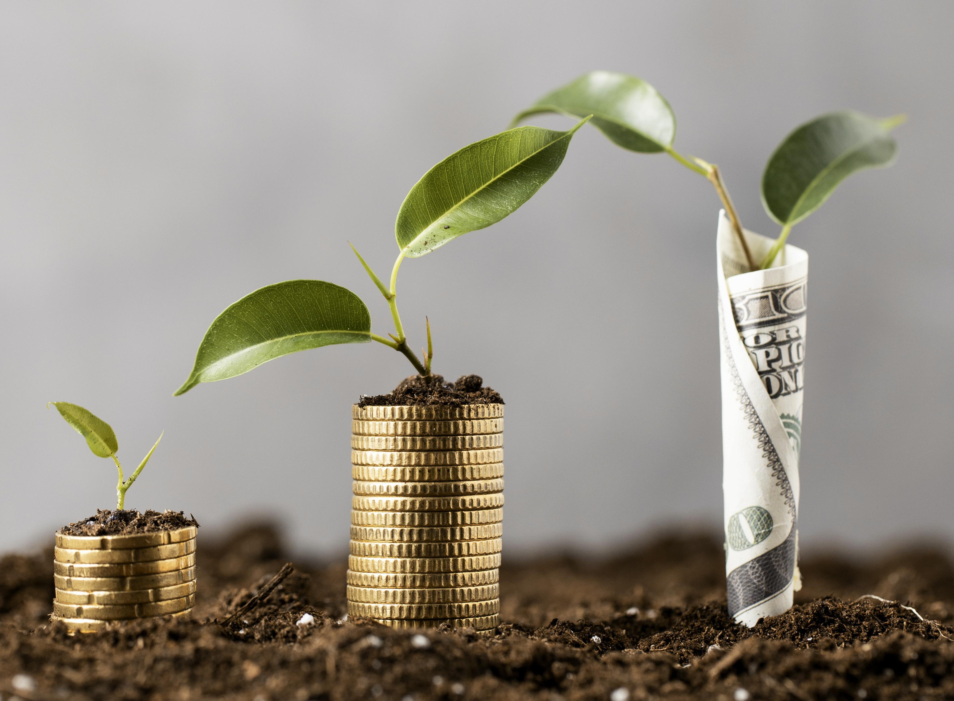 Why Financial Literacy Should Be a Core Subject in&nbsp;Schools