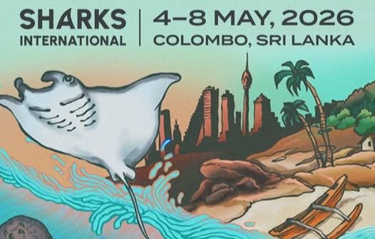 Sri Lanka is Hosting Global Shark and Marine Life Conference in&nbsp;2026